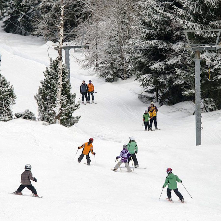 Daillon, le 02.01.2013. En direct des stations. Téléconthey.Système D. Les Mayens-de-Conthey possèdent un téléski pas comme les autres.Ce sont surtout des familles qui fréquentent le domaine skiable des Mayens-de-Conthey. Deux tiers des skieurs sont des enfants.Le Nouvelliste/Christian HOFMANN Daillon, le 02.01.2013. En direct des stations. Téléconthey.
Système D. Les Mayens-de-Conthey possèdent un téléski pas comme les autres.
Ce sont surtout des familles qui fréquentent le domaine skiable des Mayens-de-Conthey. Deux tiers des skieurs sont des enfants.
Le Nouvelliste/Christian HOFMANN